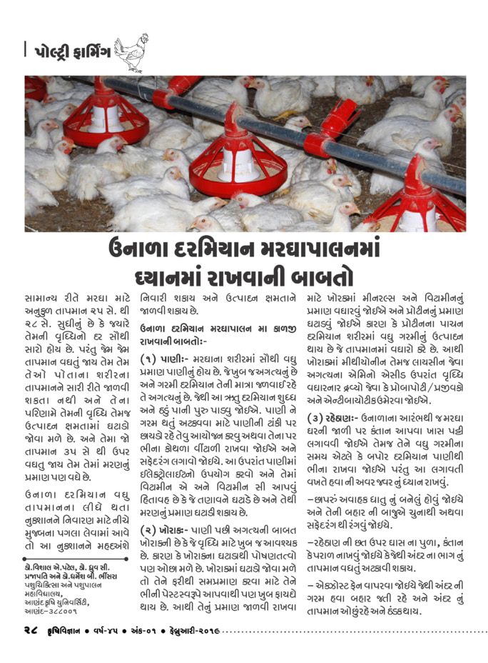 પોલ્ટ્રીફાર્મિંગ: ઉનાળા દરમિયાન મરઘાપાલનમાં ધ્યાનમાં રાખવાની બાબતો.