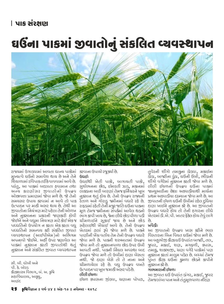 ઘઉંના પાકમાં જીવાતોનું સંકલિત વ્યવસ્થાપન