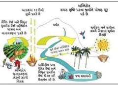 વૈદિક ખેતી પદ્ધતિઃ યજ્ઞ સાથે ખેતી (અગ્નિહોત્ર ફાર્મિંગ)