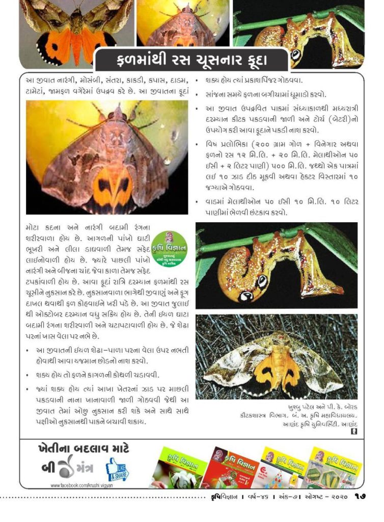 જીવાત : ફળમાંથી રસ ચુસનાર ફૂદા