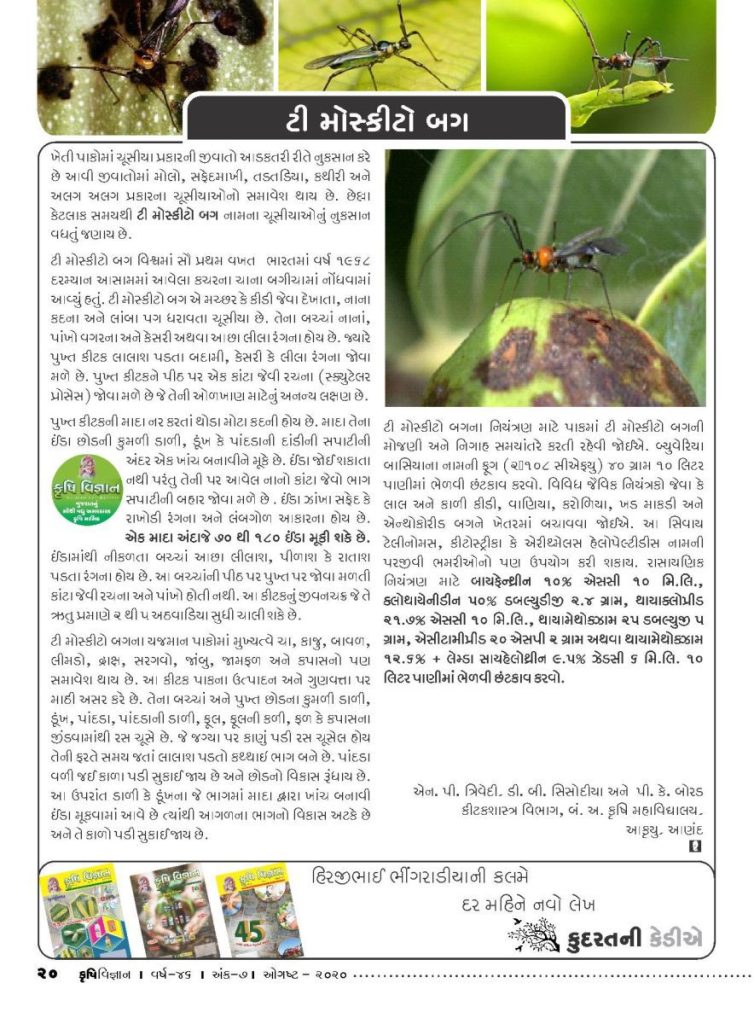 જીવાત : ટી મોસ્કીટો બગ