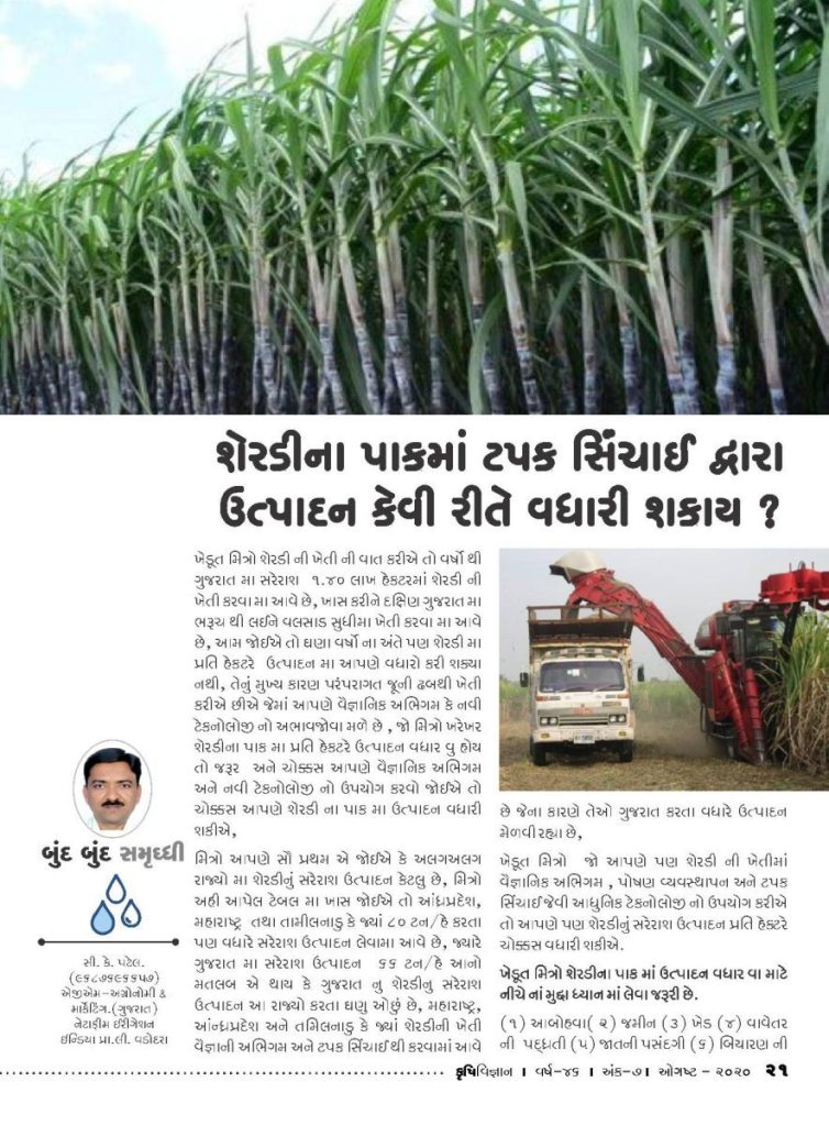 બુંદ બુંદ સમૃદ્ધિ : શેરડીના પાક માં ટપક સિંચાઈ દ્વારા ઉત્પાદન કેવી રીતે વધારી શકાય ?
