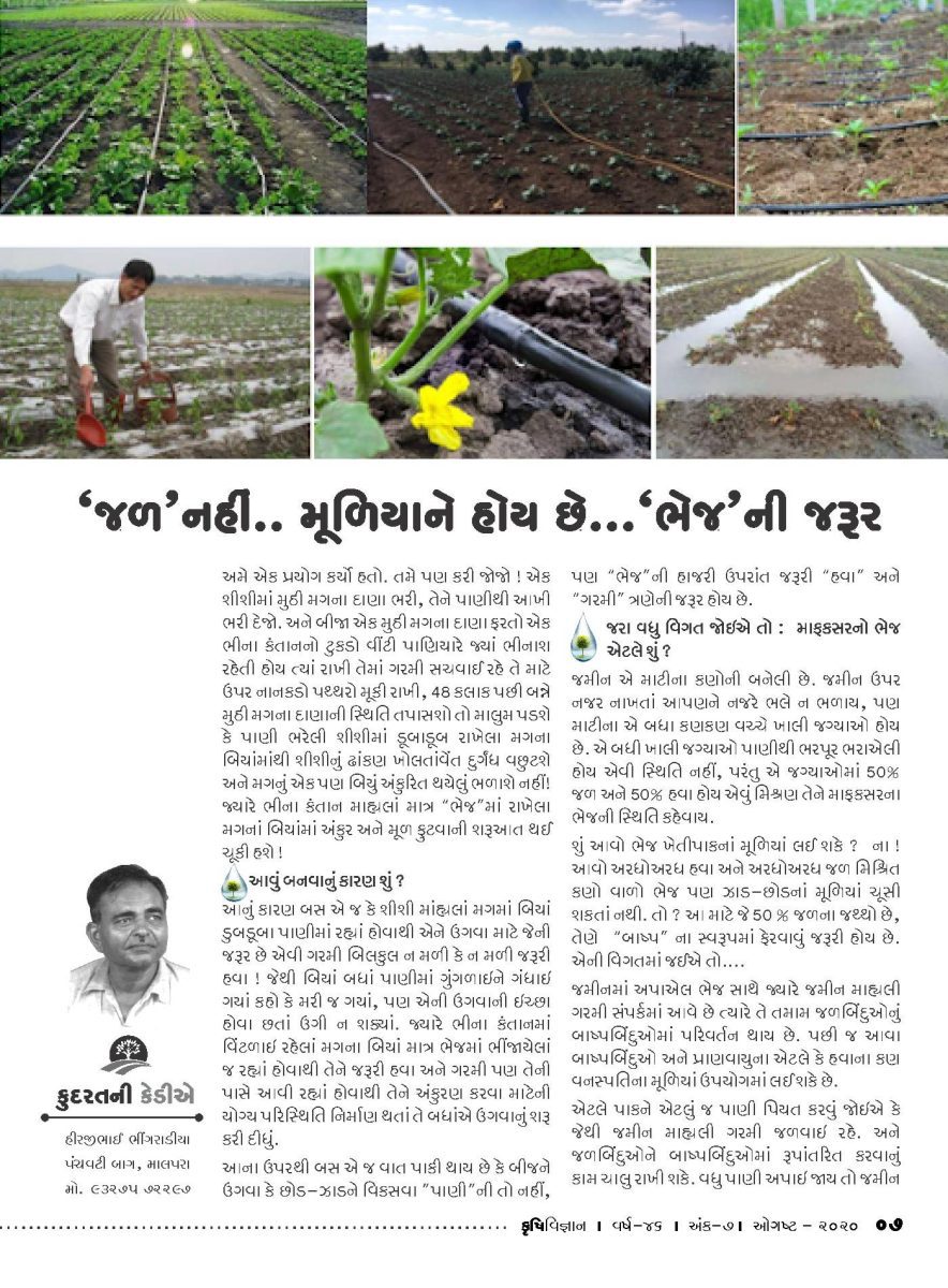 કુદરતની કેડીએ : જળ નહિ મુળિયાને હોય છે ભેજની જરૂર