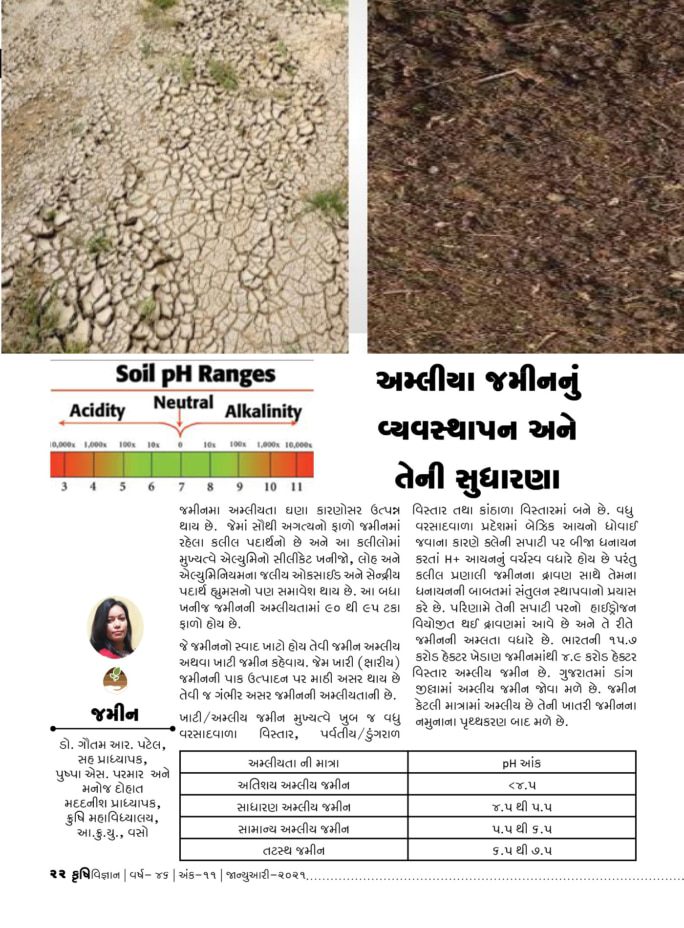 જમીન : અમ્લીય જમીનનું વ્યવસ્થાપન અને તેની સુધારણા