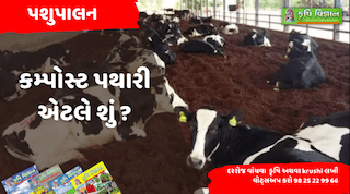 પશુપાલન