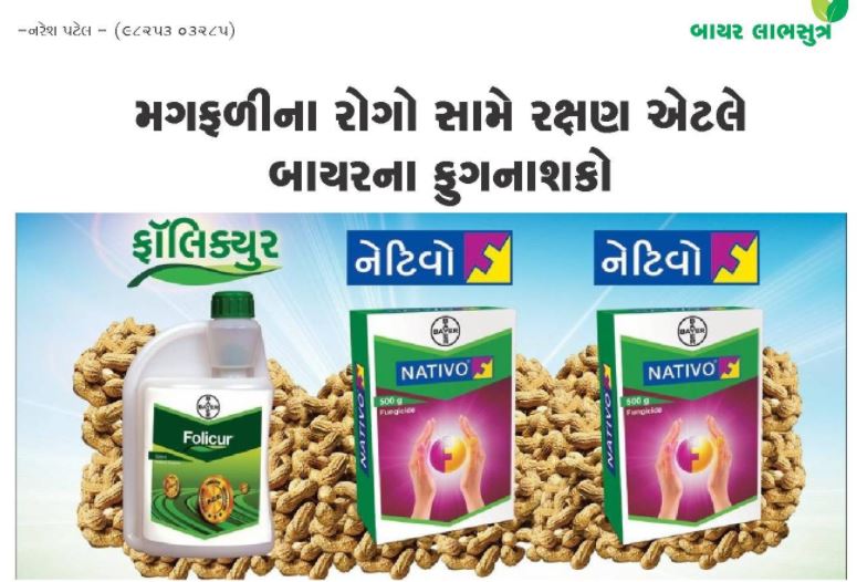 બાયર લાભુસૂત્ર : મગફળીના રોગો સામે રક્ષણ એટલે બાયરના ફૂગનાશકો