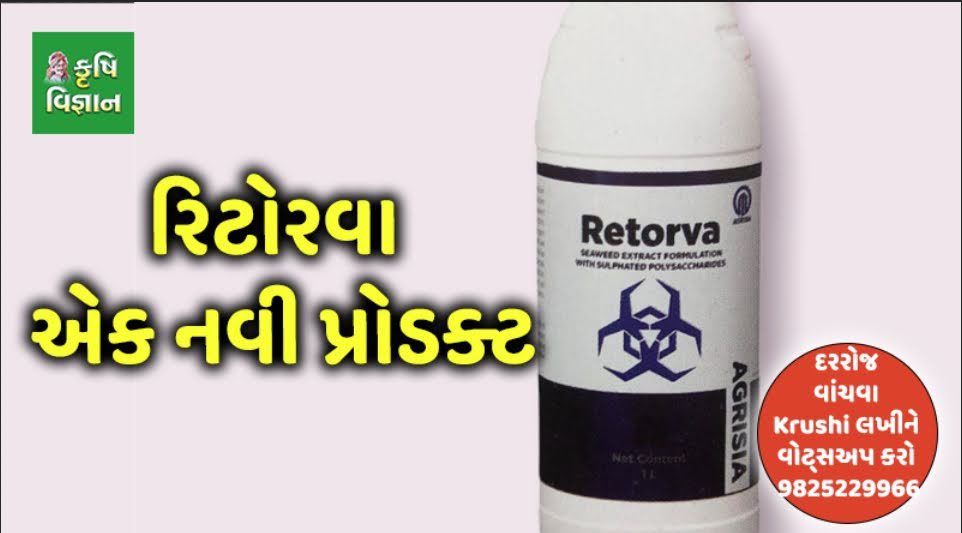 કેરીનું ઉત્પાદન ઓછુ કેમ ?