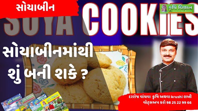 soyabean cookies