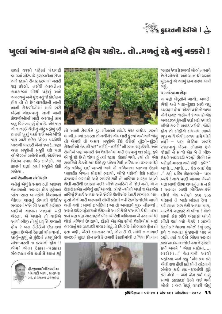 ખુલ્લા આંખ- કાનને દ્રષ્ટિ હોય ચકોર….તો મળતું રહે નવું નક્કોર !