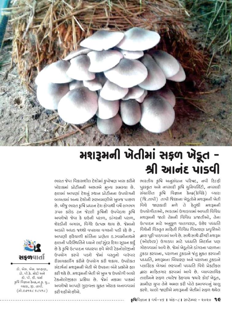 સફળવાર્તા: મશરૂમની ખેતીમાં સફળ ખેડૂત શ્રી આનંદ પાડવી